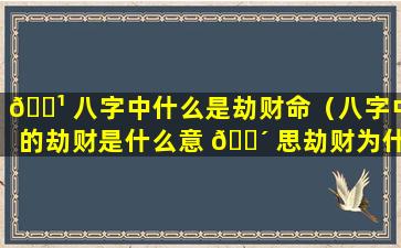 🌹 八字中什么是劫财命（八字中的劫财是什么意 🌴 思劫财为什么会导致破财）